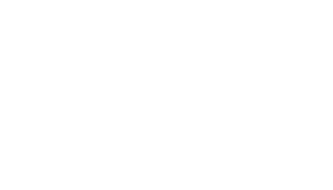 logo-light1